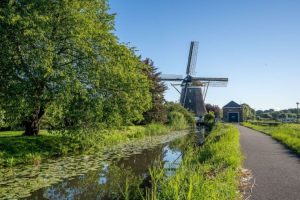 A windmill at Kinderdijk Getting in On Years Away from Home
