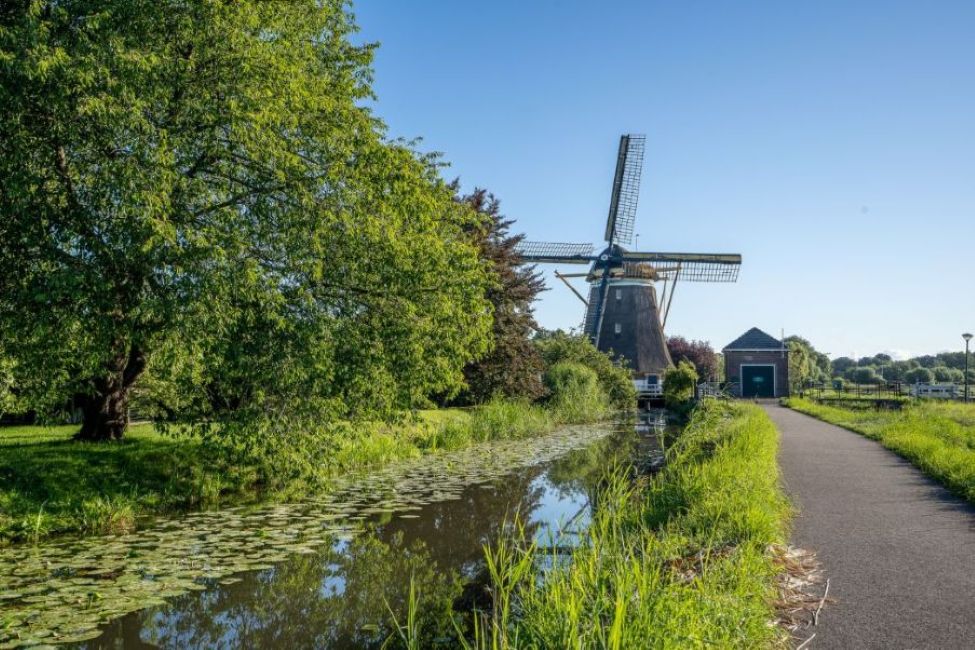 A windmill at Kinderdijk Getting in On Years Away from Home